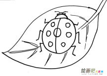 /jianbihua/dongwujianbi/49932.html