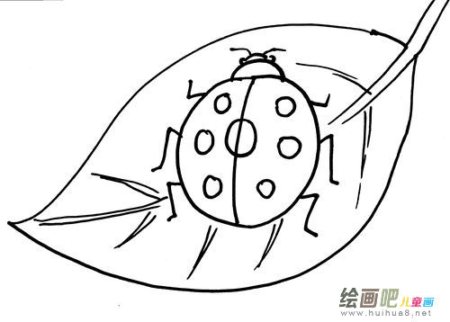 七星瓢虫简笔画