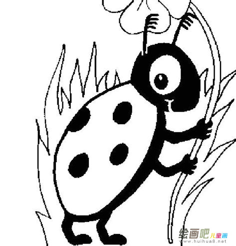 七星瓢虫简笔画：七星瓢虫有趣实验