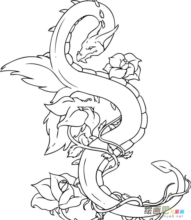 龙的简笔画 龙的简笔画