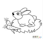 兔子简笔画：属兔的生肖简介