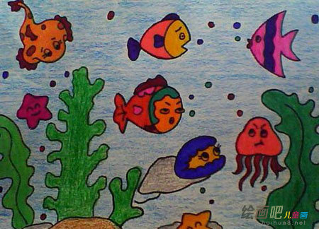 海洋生物 海洋生物