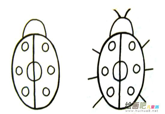 七星瓢虫简笔画 七星瓢虫简笔画