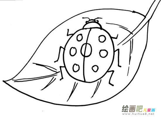 七星瓢虫简笔画