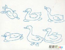 /jianbihua/dongwujianbi/50769.html