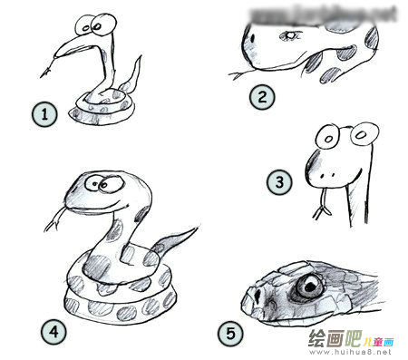 蛇的简笔画 蛇的简笔画