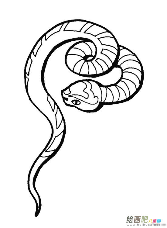 蛇的简笔画 蛇的简笔画