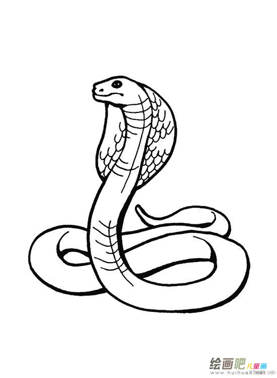 蛇的简笔画 蛇的简笔画