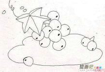 水果简笔画：绿葡萄的画法
