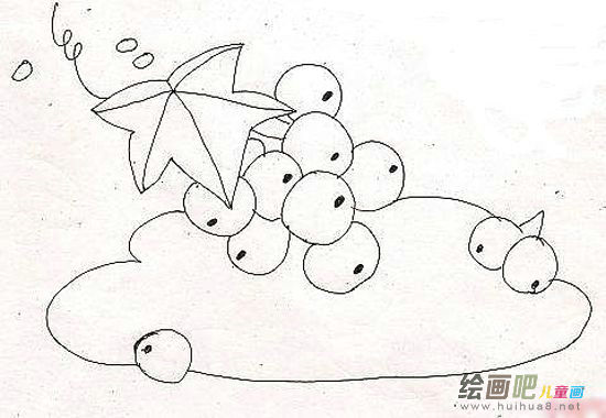 水果简笔画 水果简笔画