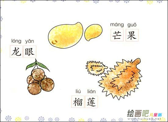水果简笔画 龙眼