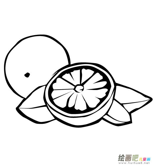 水果简笔画 水果简笔画