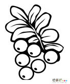 水果简笔画：好吃的水果