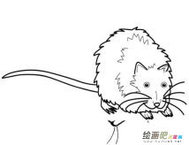 /jianbihua/dongwujianbi/49425.html