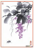 彩色铅笔画：紫藤
