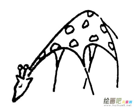 长颈鹿 长颈鹿