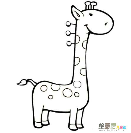 长颈鹿 长颈鹿