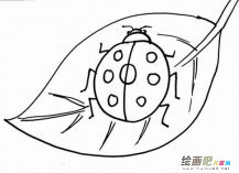 /jianbihua/dongwujianbi/49662.html