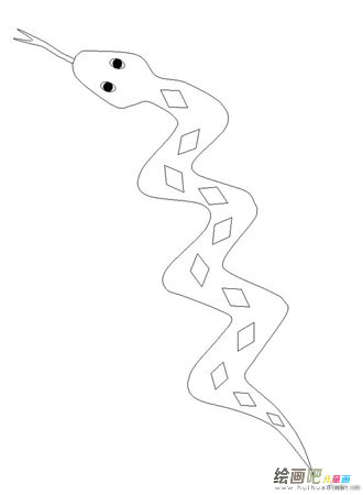 蛇 蛇