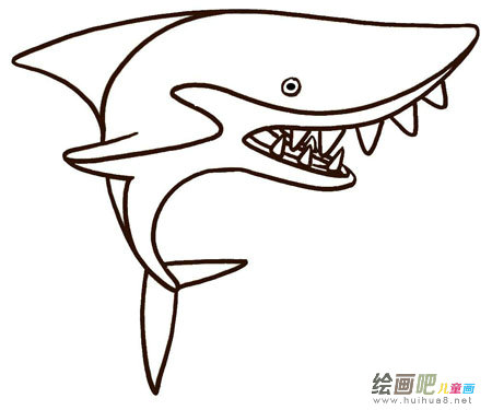 海洋动物 海洋动物