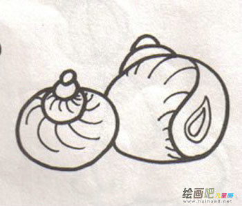 海洋动物 海洋动物