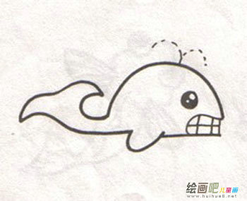 海洋生物 海洋生物