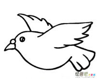 /jianbihua/dongwujianbi/50688.html