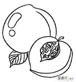 水果简笔画：水果之王——苹果