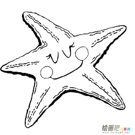 海洋 海洋