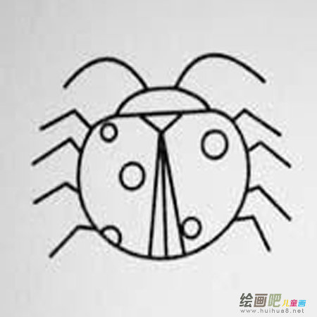 七星瓢虫 七星瓢虫