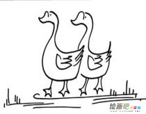 /jianbihua/dongwujianbi/50566.html