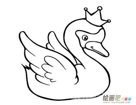 鸭子 鸭子