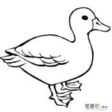 /jianbihua/dongwujianbi/50579.html
