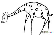 /jianbihua/dongwujianbi/50520.html