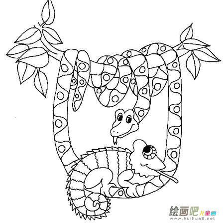 啊 啊