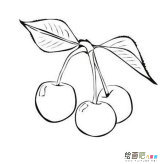 水果简笔画：樱桃