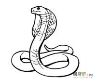 /jianbihua/dongwujianbi/50289.html