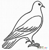 /jianbihua/dongwujianbi/50660.html