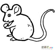 /jianbihua/dongwujianbi/49385.html