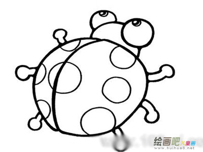 七星瓢虫 七星瓢虫