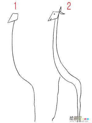 长颈鹿 长颈鹿