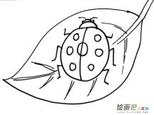 /jianbihua/dongwujianbi/49566.html