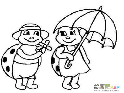 七星瓢虫 七星瓢虫