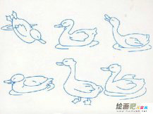 /jianbihua/dongwujianbi/50408.html