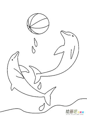 海洋 海洋