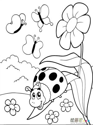 七星瓢虫简笔画:可爱的七星瓢虫 七星瓢虫简笔画:可爱的七星瓢虫