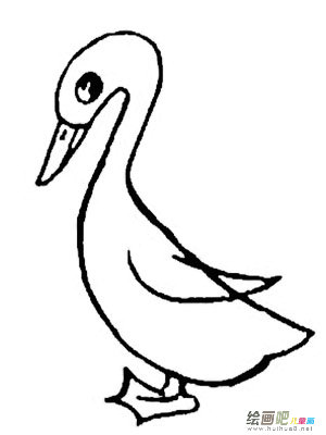 小鸭子 小鸭子