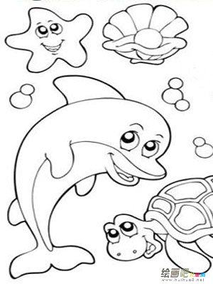 海洋生物 海洋生物