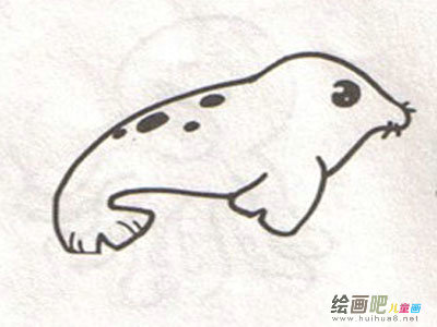 海洋生物 海洋生物