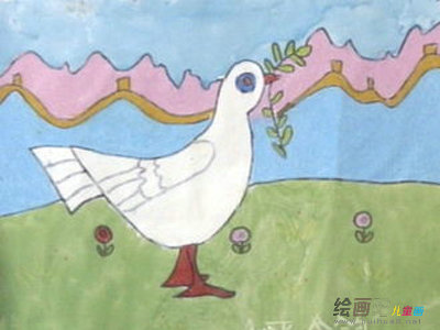 和平鸽 和平鸽